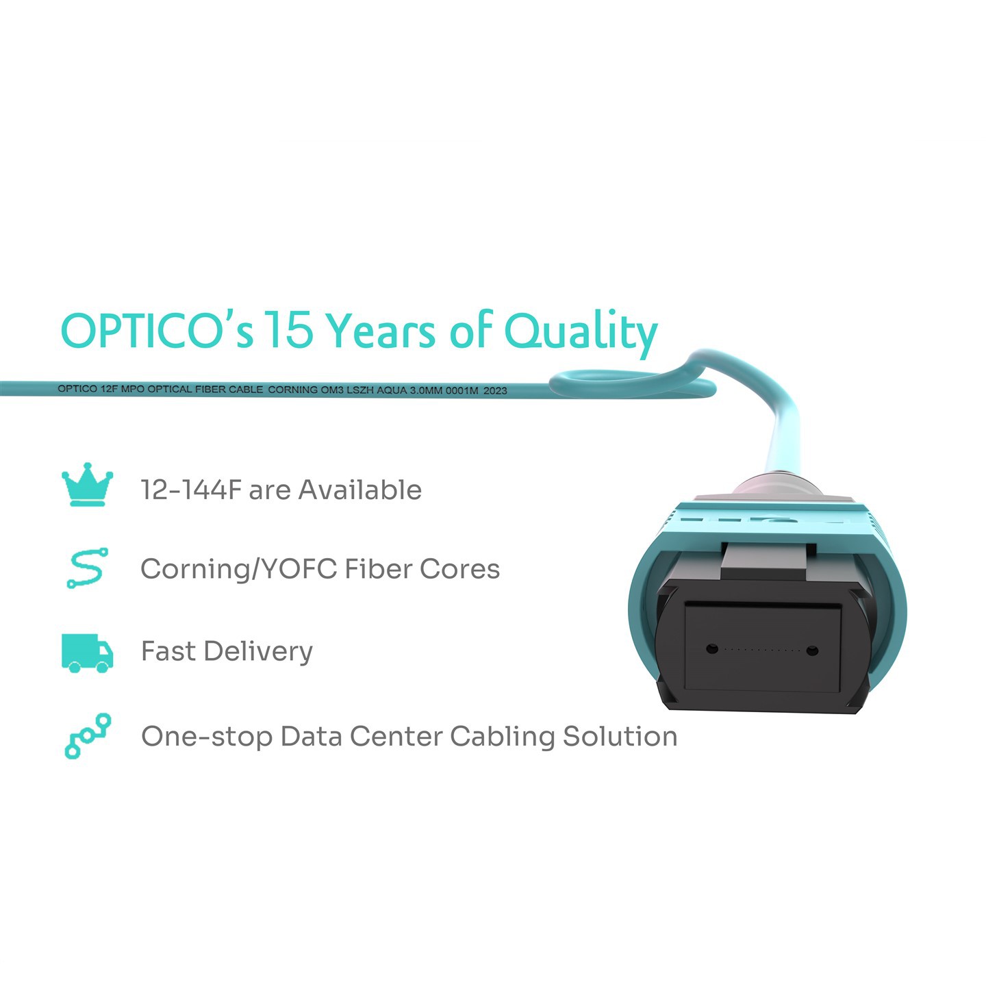 24 Fiber MTP Patch Cord