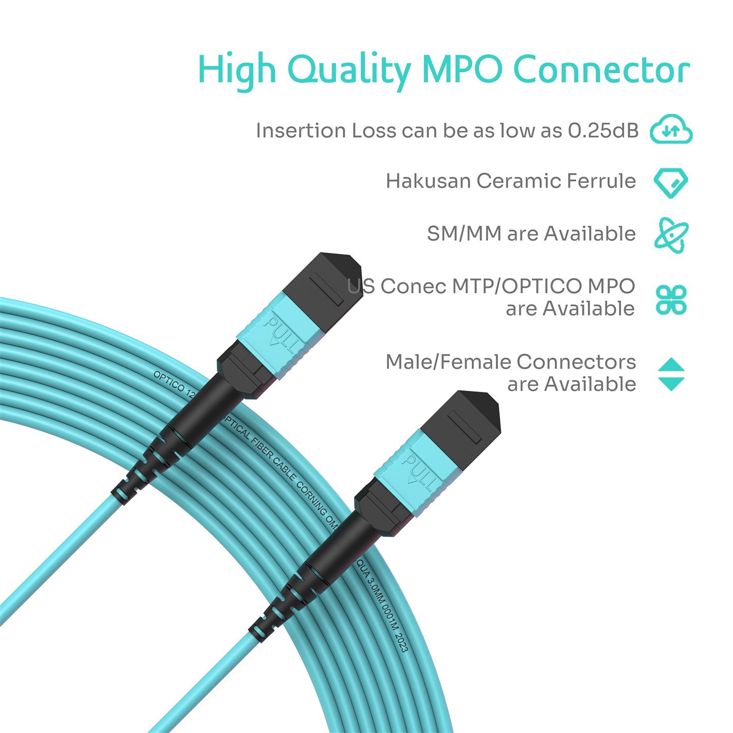 24 Fiber MTP Patch Cord