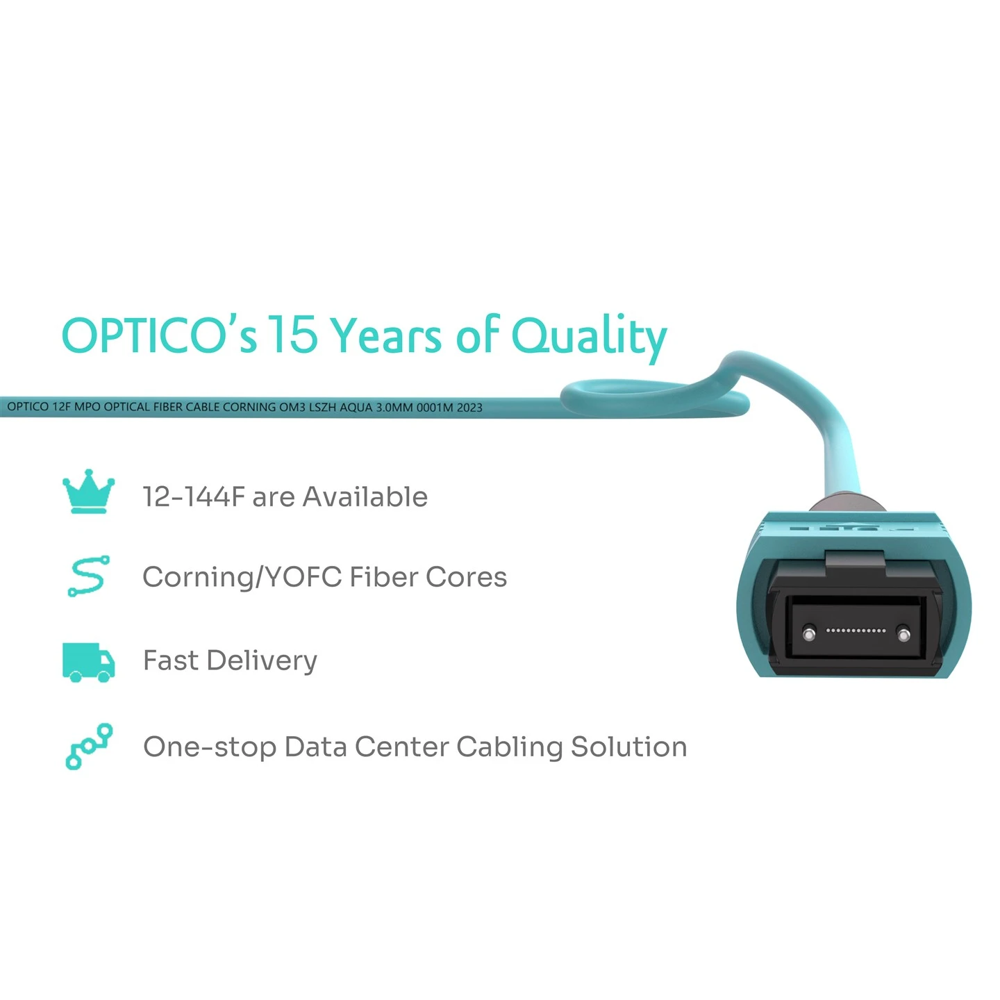 OM3 Trunk Cable Reversible 12 Fiber Optic MTP/MPO Patch Cord OM3 Trunk Cable Reversible 12 Fiber Optic MTP/MPO Patch Cord
